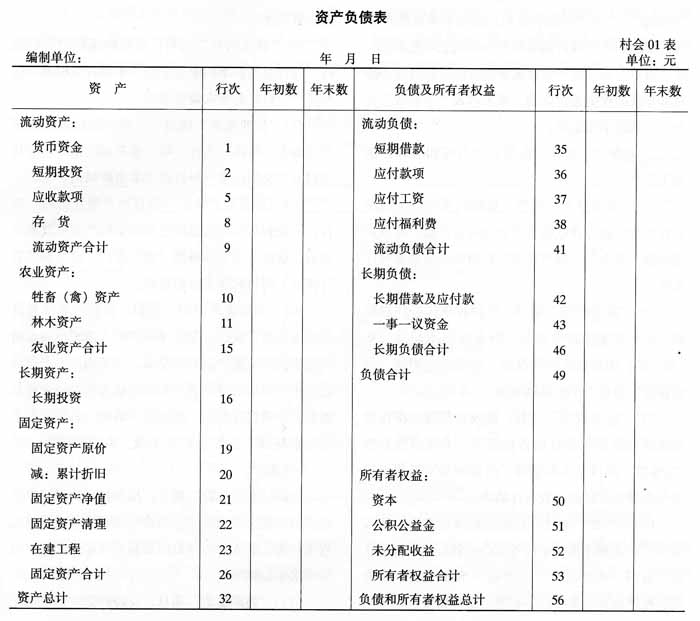 村集体经济组织会计制度